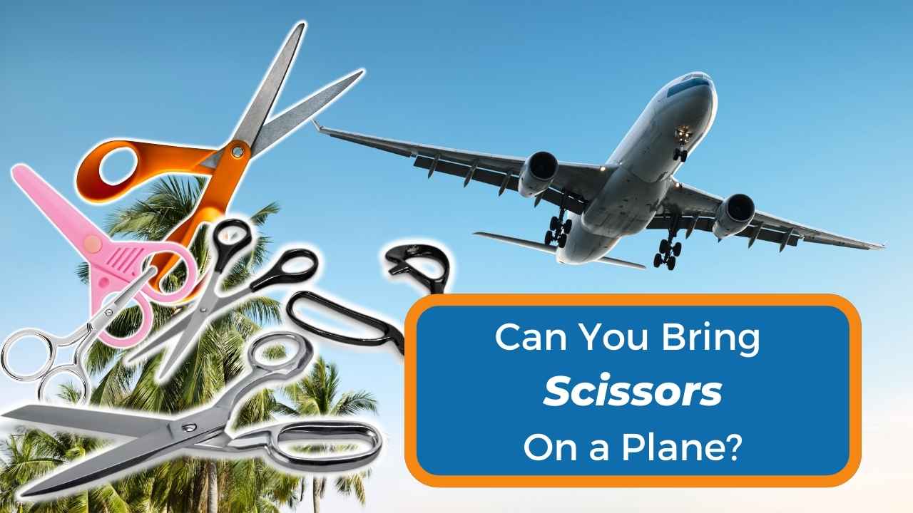 Can You Bring Scissors on a Plane? The Ultimate Guide Can You Bring It?
